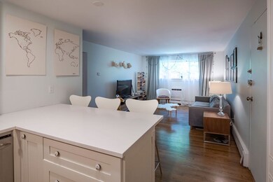 10 Riverside St unit 3-3, Watertown, MA 02472 - photo 3