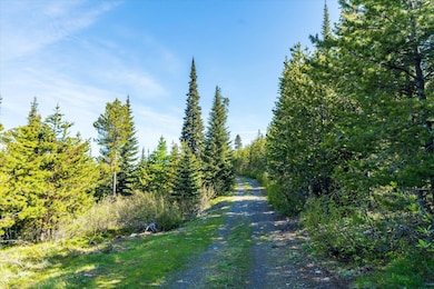 0 Griffin Creek Rd, Marion, MT 59925 - photo 7