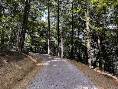 0 Parkinson Rd unit (Tract 8 at Titus), Dexter, OH 45741 - photo 6