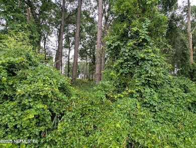 00 SE 1st Ave, Keystone Heights, FL - photo 3