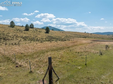 11893 Colorado 67, Divide, CO 80814 - photo 7