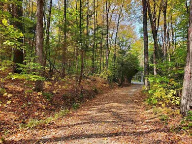 0 Miller Ln, Williamsville, VT 05362 - photo 3