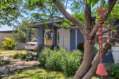 733 Santa Barbara Dr, El Paso, TX 79915 - photo 3