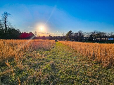 3096 Verona Caney Rd, Lewisburg, TN 37091 - photo 6