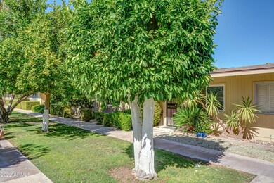 10971 W Santa fe Dr, Sun City, AZ 85351 - photo 5