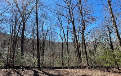 LOT 9 Wolfpen Gap Sub, Hiawassee, GA 30546 - photo 7