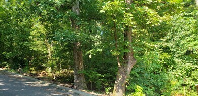 0 Shady Oaks Cove unit RTC2720331, Dunlap, TN 37327 - photo 2