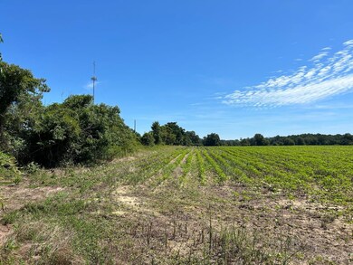 0 Lucy Chapel Rd, Danville, GA 31017 - photo 7