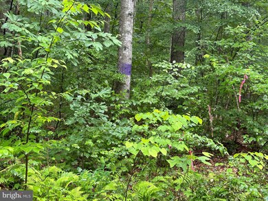 TBD Forest Dr, District 1, VA 22844 - photo 4