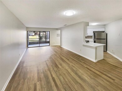 3715 Atrium Dr unit 3, Orlando, FL 32822 - photo 4