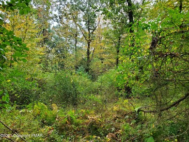 405 Stroudsmoor Rd, Stroudsburg, PA 18360 - photo 5