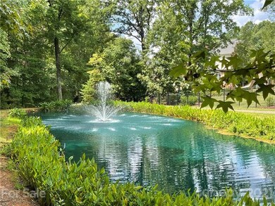 GORGEOUS PONDS