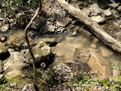 32 Ac Thomas Springs Rd, Crossville, TN 38572 - photo 3