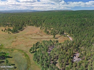 1A Forest Road 26 --, Alpine, AZ 85920 - photo 2