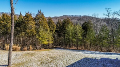 8709 Fairmount Ridge Lville Drone-4