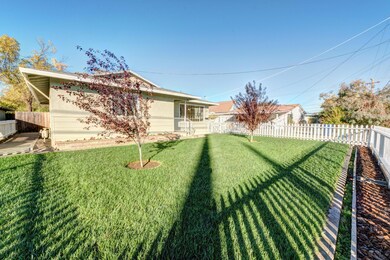 Newly installed Lawn