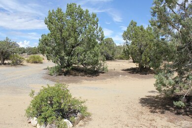 5821 Ensenada Way, Farmington, NM 87402 - photo 7