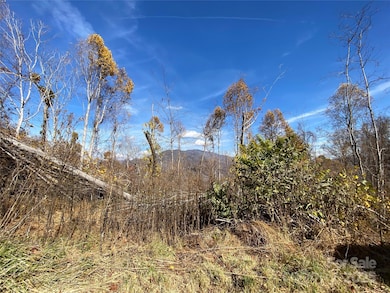 999 Bear Springs Rd unit QQ, Bakersville, NC 28705 - photo 2