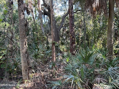 2845 Sunset Rd, Melbourne, FL 32904 - photo 7