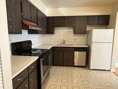 5240 Galitz St unit 304, Skokie, IL 60077 - photo 7