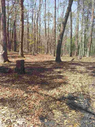 1014 Highway 298, Jessieville, AR 71949 - photo 5