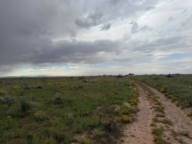 Lot 389 Rancho Rio Grande, Belen, NM 87002 - photo 5