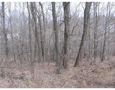Land/Lot.