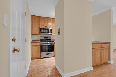 2407 N Kennicott Dr unit 1A, Arlington Heights, IL 60004 - photo 3