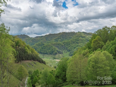 00 Quest Cove, Clyde, NC 28721 - photo 5