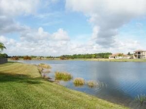 11123 LYNWOOD PALM WAY (6) (500x375)