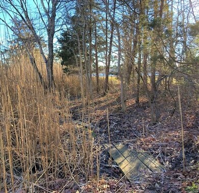 21 Bisbee St, West Wareham, MA 02576 - photo 7