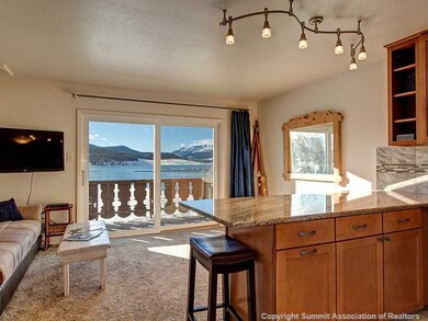 144 Gold Run Cir unit 21, Dillon, CO 80435 - photo 3