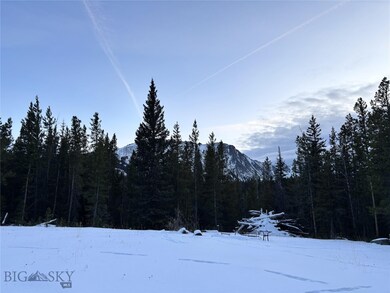 Meadow at center of property