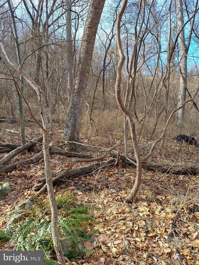 0 Old Ski Lodge Ln unit VARP107716, Washington, VA 22747 - photo 4