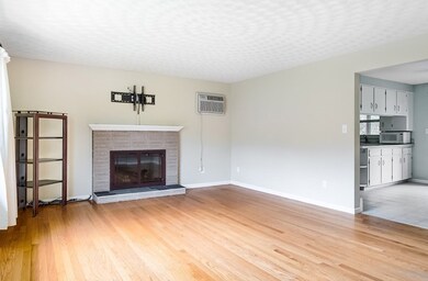 41 Thornton Rd, Worcester, MA 01606 - photo 4