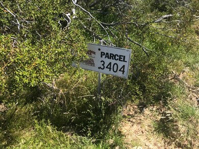 0000 Parcel 3404 Lone Ranger Rd, Yucca, AZ 86438 - photo 3