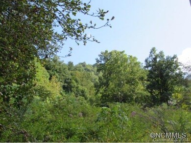 217 Evergreen Rd, Burnsville, NC 28714 - photo 2