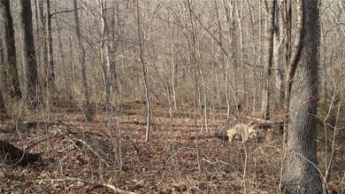 0 Julletta Cir unit 1075969, Bella Vista, AR 72715 - photo 3