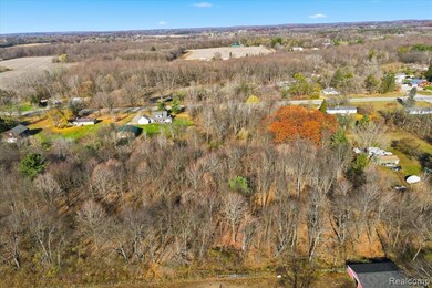 0 Imlay City Rd unit 20251054353, Lapeer, MI 48446 - photo 7