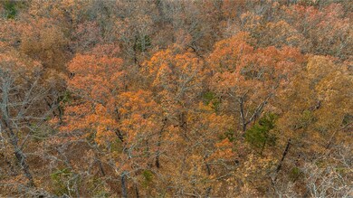 0 County Road 5320 (Tract C), Rolla, MO 65401 - photo 7