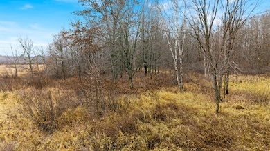 TBD (Parcel C) Olson Rd, Dell Grove Township, MN 55037 - photo 7