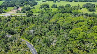 8683 N Bellflower Way, Crystal River, FL 34428 - photo 6