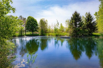 A privately owned Pond stock with DEC Certified Ba