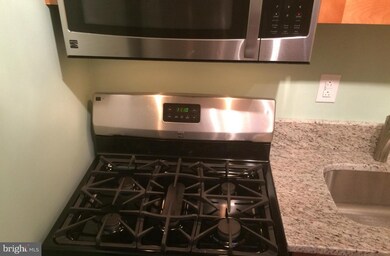 5827 Cove Landing Rd unit 202, Burke, VA 22015 - photo 6