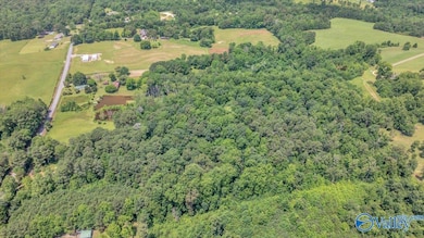 9.0 County Road 122, Fort Payne, AL 35968 - photo 3