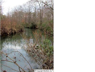 East Fork of Little River has some of the cleanest water in the country.