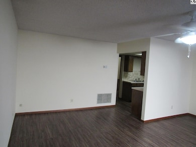 1801 E 24th Ave, Hutchinson, KS 67502 - photo 4