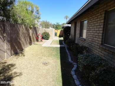 4 PLEX