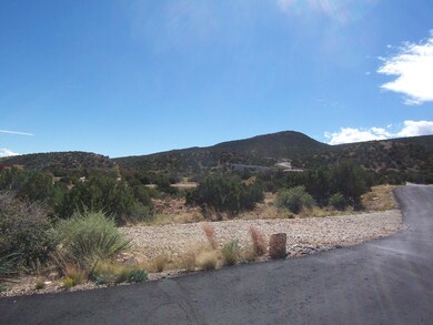 36 Diamond Tail Rd, Placitas, NM 87043 - photo 4