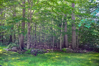 Ruby Lane Back yard